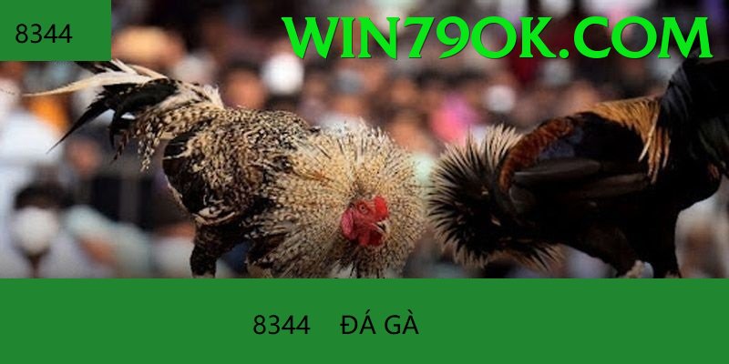 Đá Gà Trực Tiếp - win79 - Tặng code