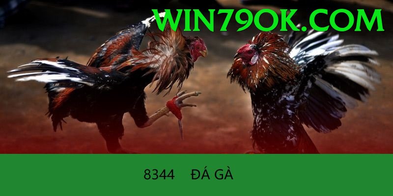 Đá Gà Trực Tiếp - Ưu đãi đặc biệt - Game mobile